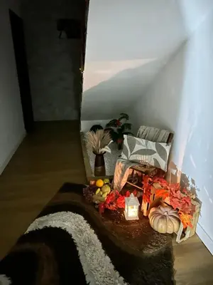 Cibo presso l'appartamento o nelle vicinanze