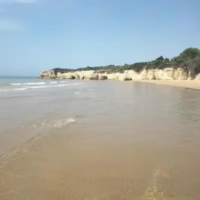 Filhome Mare