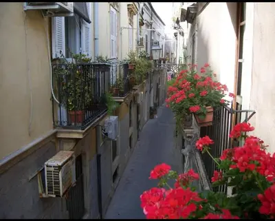 Il quartiere o una zona nella vicinanze dell'appartamento