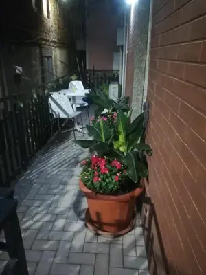 Patio o area all'aperto di Le case del cortile 2