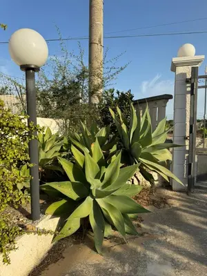 Giardino di Villa Azzurra
