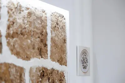 Planimetria di Domus Laureti