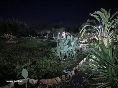 Giardino di 
