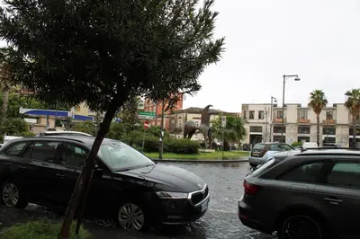 Il quartiere o una zona nella vicinanze della casa vacanze