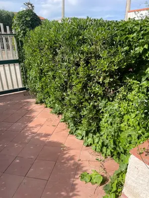 Giardino di Marzamemi guest house