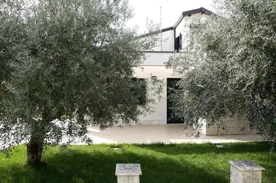 Giardino di Villa tra gli ulivi