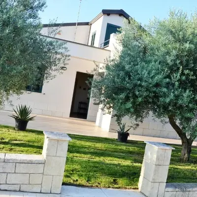 Villa tra gli ulivi