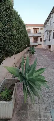 Edificio in cui si trova l'appartamento