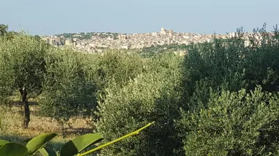 Paesaggio naturale nelle vicinanze della casa vacanze