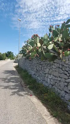 Planimetria di Le Rose di Modica