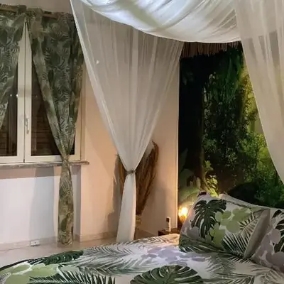 Jungle - house of wellness
