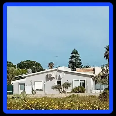 The Sunshine House