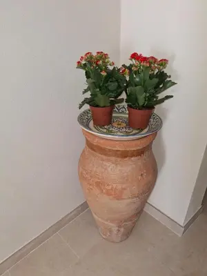Planimetria di La casetta