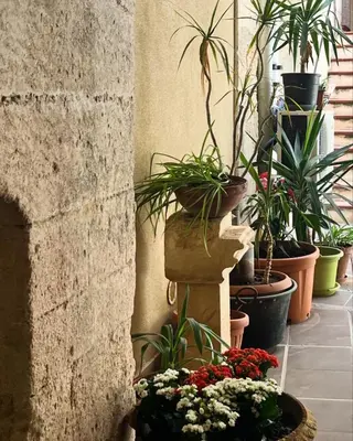 Planimetria di Ermes Ares