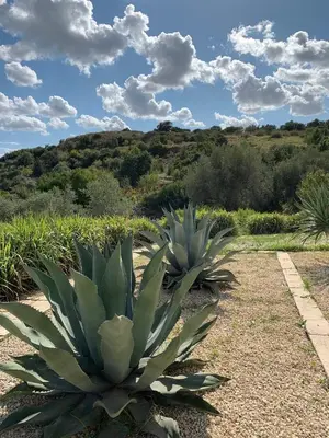 Paesaggio naturale nelle vicinanze della villa