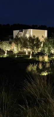 Planimetria di Amazing property of 2 villas on a land sea view