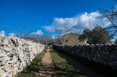 Paesaggio naturale nelle vicinanze dell'agriturismo