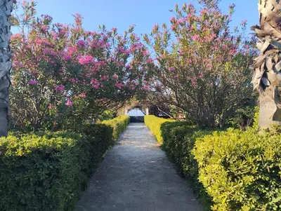 Giardino di Villa salvo