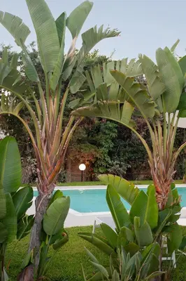 Piscina di Numeroquattro-Light Green, Open Space con vista sul giardino e piscina o nelle vicinanze