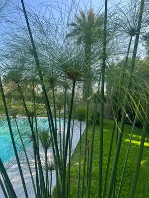 Piscina di Numeroquattro-Light Green, Open Space con vista sul giardino e piscina o nelle vicinanze