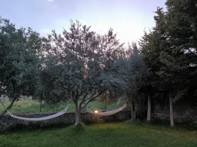 Giardino di Casa dei Mori oasi di pace