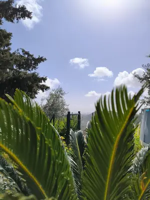 Paesaggio naturale nelle vicinanze della villa