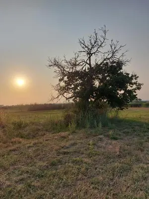 Alba o tramonto visti dall'interno della casa vacanze o dai dintorni
