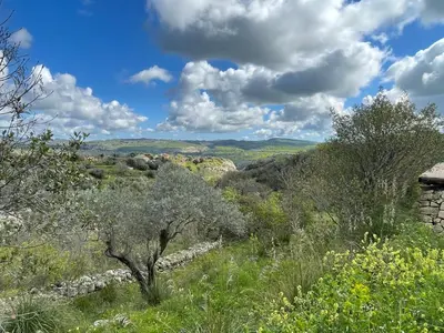 Paesaggio naturale nelle vicinanze di questo campeggio di lusso