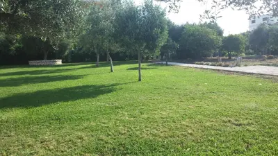 Giardino di Casa Vista Mare