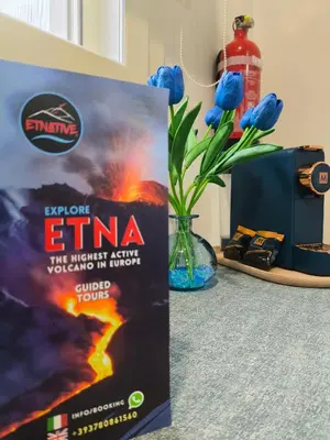 Certificato, attestato, insegna o altro documento esposto da Blue Flowers Room