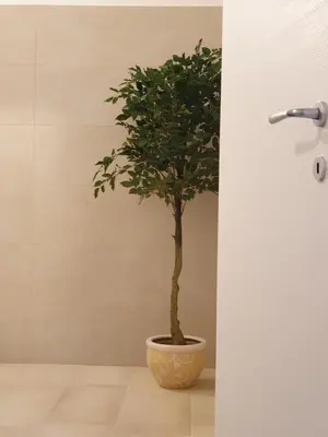 Planimetria di Terra di V e n e r e 2