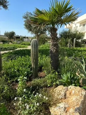 Giardino di Lady Marzamemi