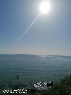 Paesaggio naturale nelle vicinanze della villa