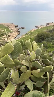 Paesaggio naturale nelle vicinanze dell'appartamento