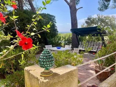Giardino di Case Vacanze Buonivini