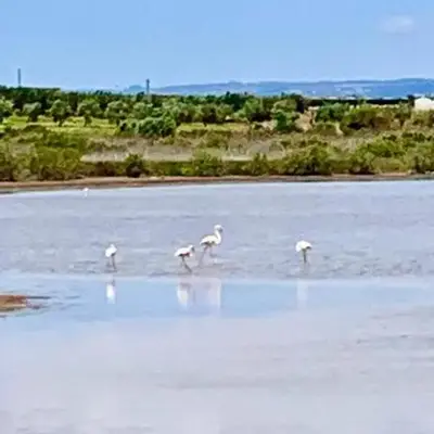 Villetta FlamingoBeach Morghella