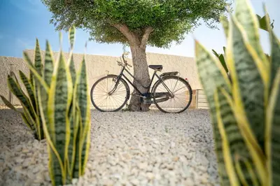 Attività di ciclismo presso la villa o nelle vicinanze