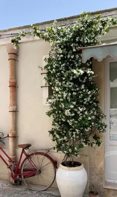 Attività di ciclismo presso la casa vacanze o nelle vicinanze