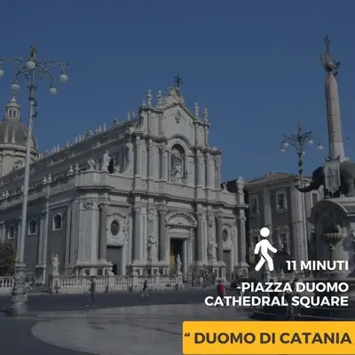 Certificato, attestato, insegna o altro documento esposto da Domus San Gaetano