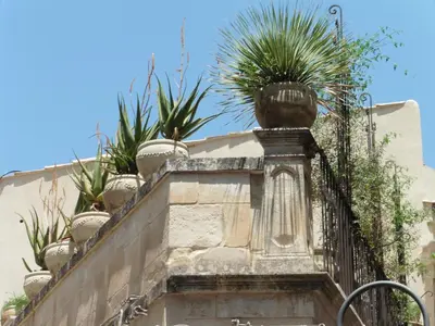 Planimetria di Palazzo Degli Olivi