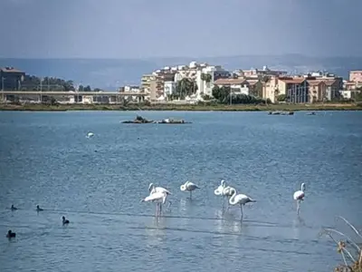 Paesaggio naturale nelle vicinanze dell'appartamento
