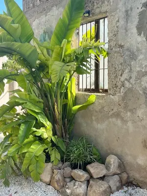 Planimetria di U Pantanu