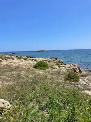 Paesaggio naturale nelle vicinanze della villa
