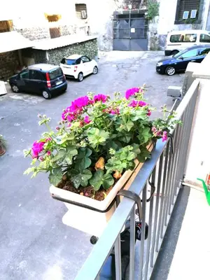 Planimetria di La casa di orlando 2