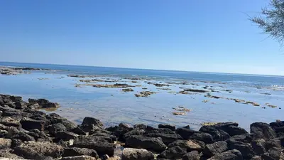 Paesaggio naturale nelle vicinanze della casa vacanze