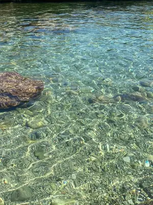 Paesaggio naturale nelle vicinanze della villa