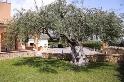 Giardino di Radici Sicilian Holiday Home - C An Oasis of Relaxation in the Heart of Sicily