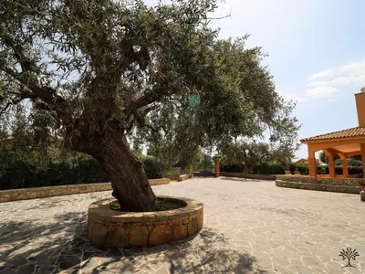Planimetria di Radici Sicilian Holiday Home - C An Oasis of Relaxation in the Heart of Sicily