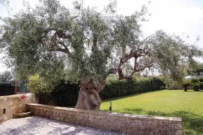 Giardino di Radici Sicilian Holiday Home - A An Oasis of Relaxation in the Heart of Sicily