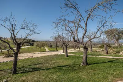 Paesaggio naturale nelle vicinanze della villa